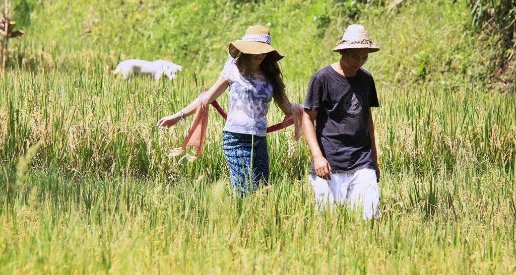 The Kayon Resort ウブド エクステリア 写真